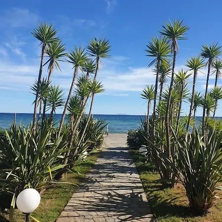 Appt Dans Residence Avec Piscines Et Plage Privees San-Nicolao Exterior photo